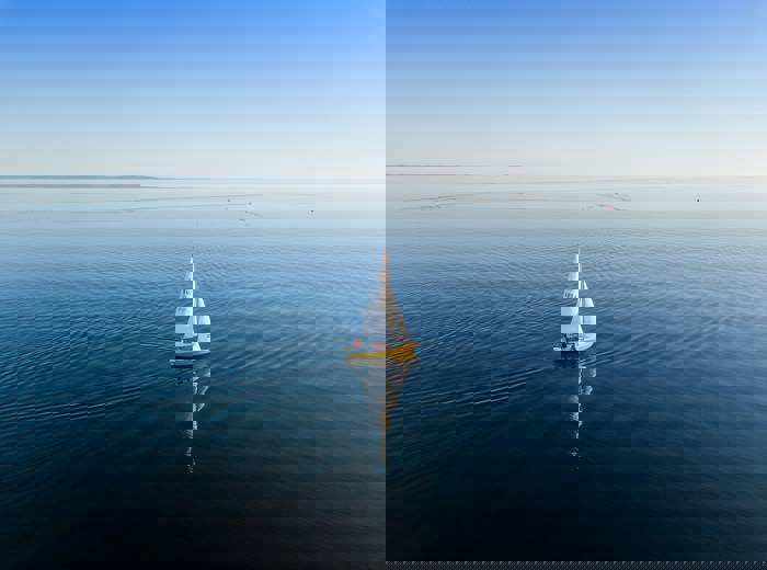 Purus Ridiculus Magna