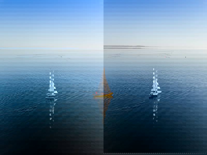 Purus Ridiculus Magna